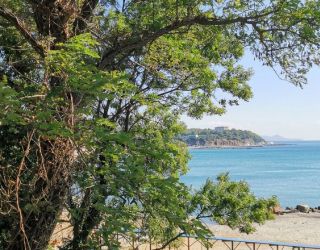 Парк-отель "Джубга"